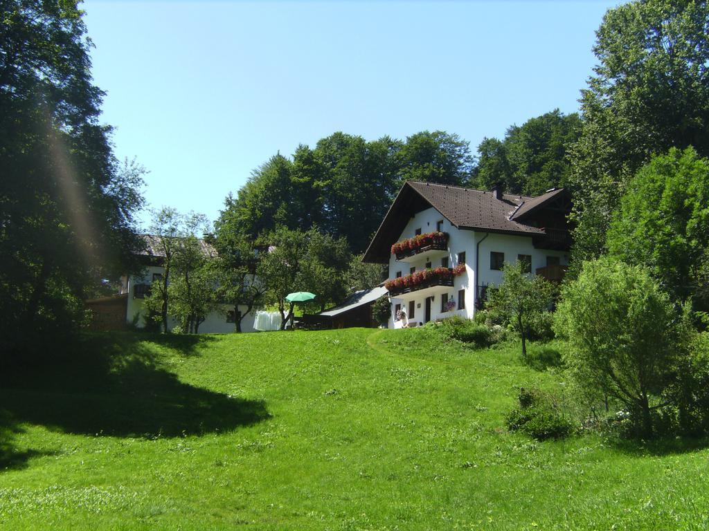 Вілла Bauernhof Familie Knoblechner Нусдорф-ам-Аттерзе Номер фото